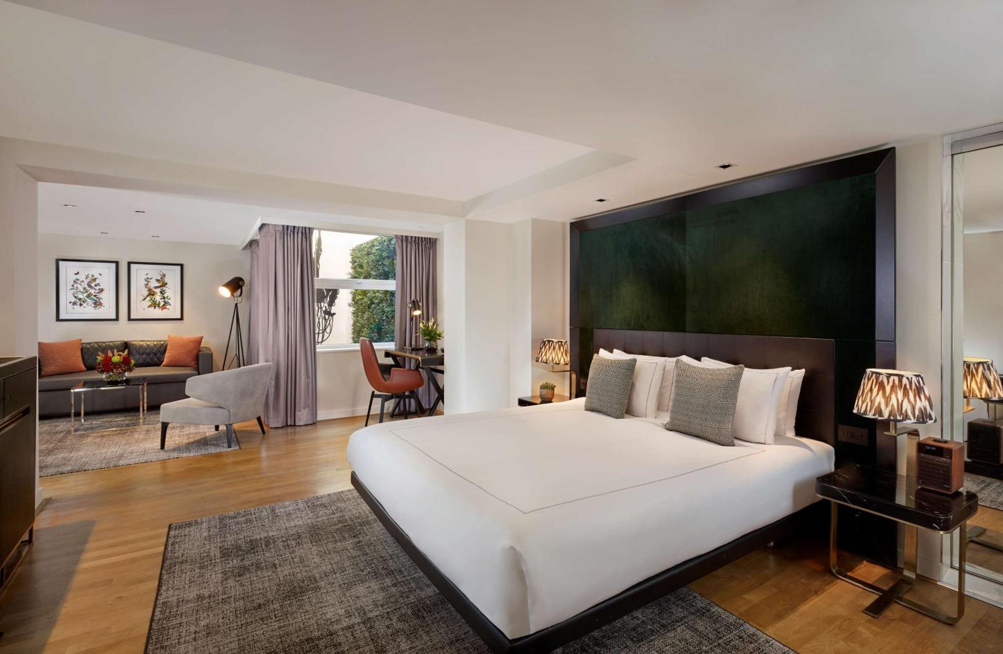Suite Estudio - 1 cama extragrande