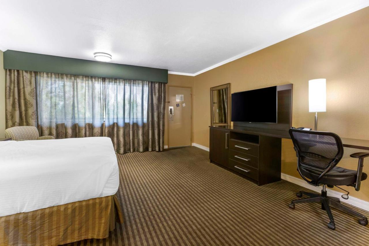 King Suite with Mobility Accessible Roll-In Shower - Non-Smoking
