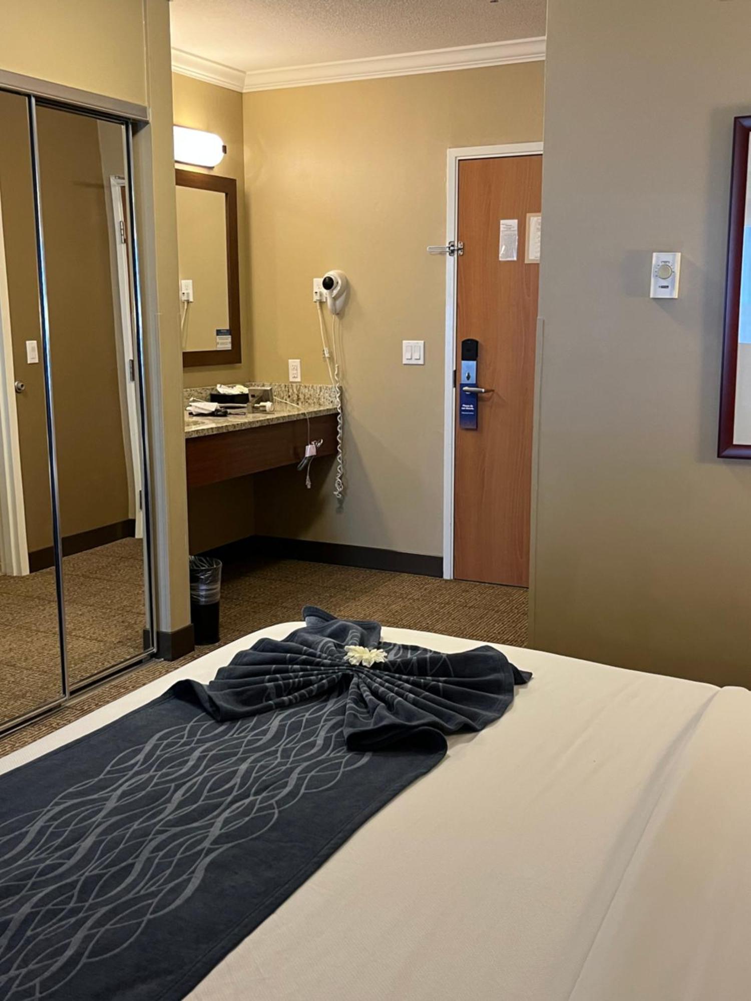 Queen Room - Non-Smoking