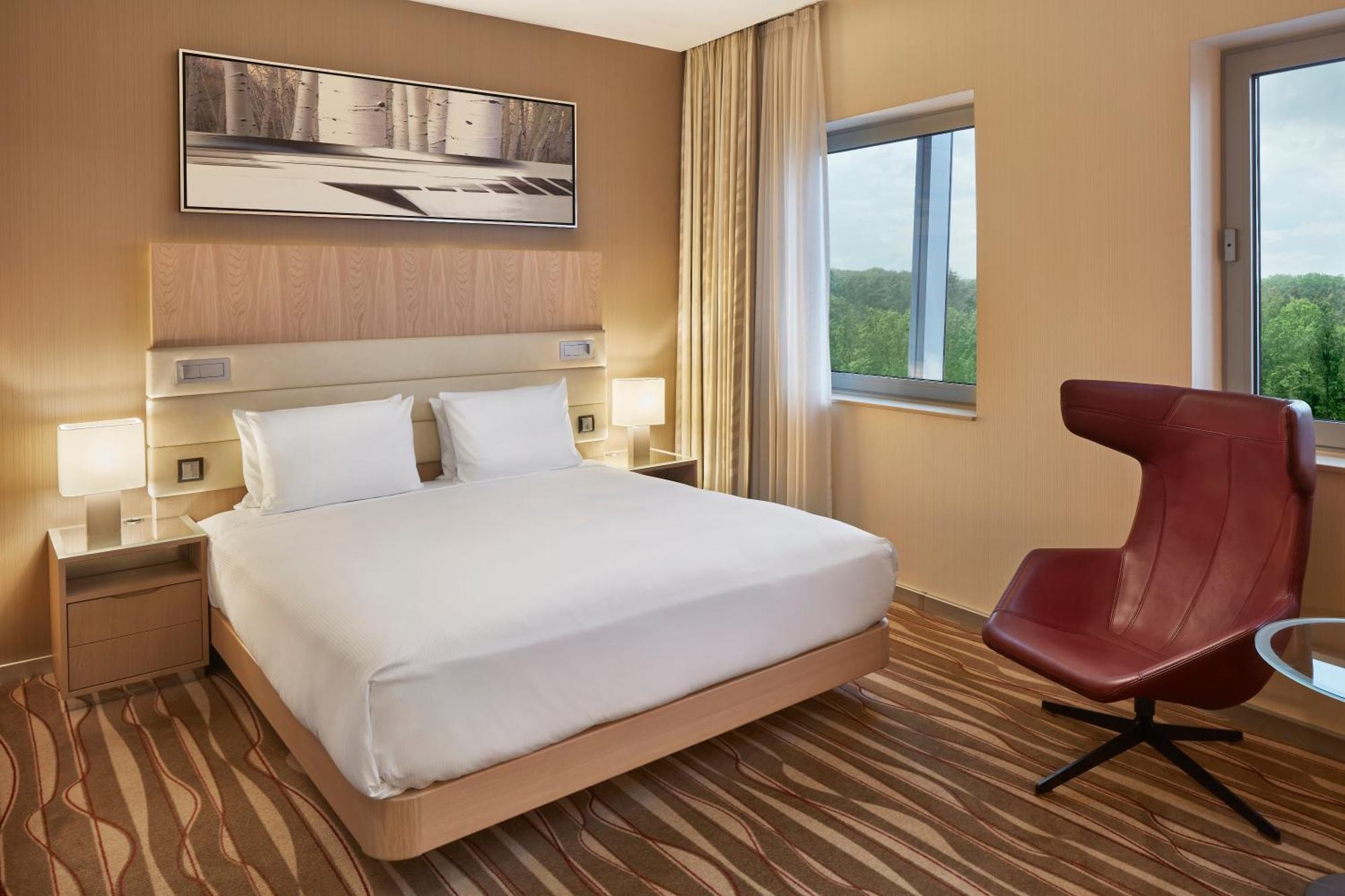 Chambre Lit King-Size Exécutive