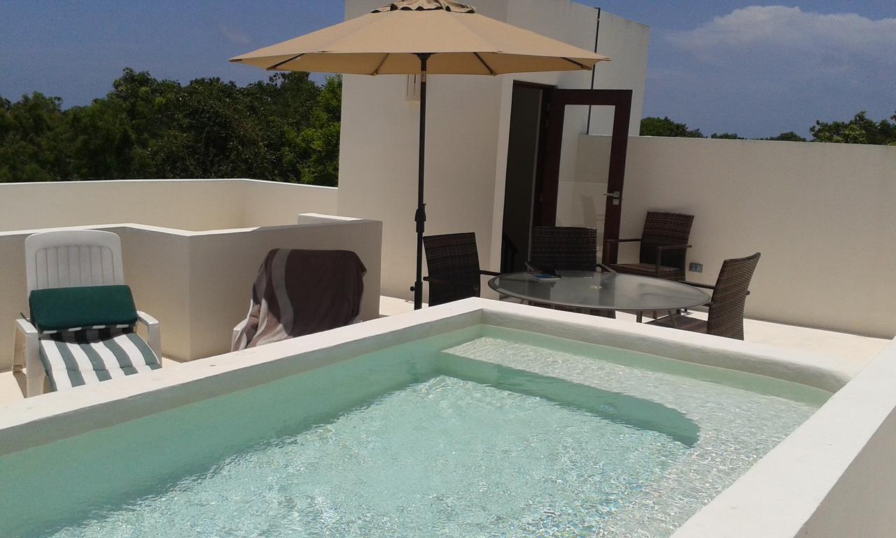 Penthouse Apartment with Private Pool and Jacuzzi,1589531522:JPEG