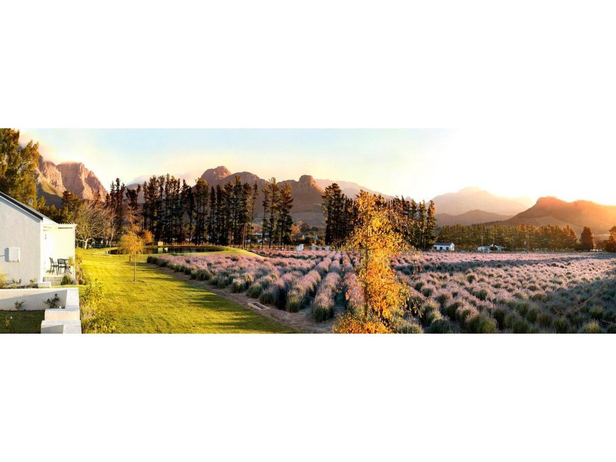 Honeymoon Suite with Lavender View