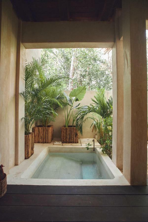 Suite Jungle avec Baignoire Privative
