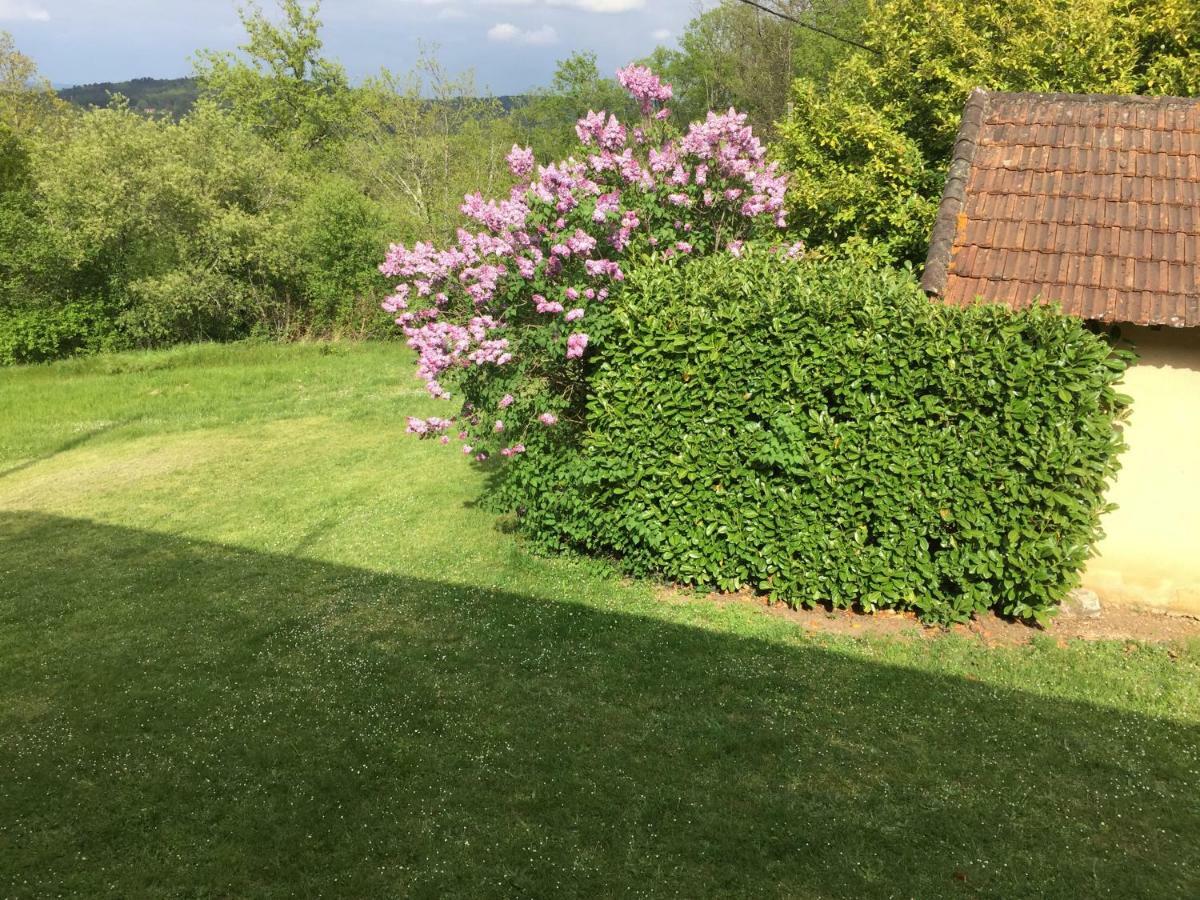 Chambre Lits Jumeaux Standard avec Vue sur Jardin