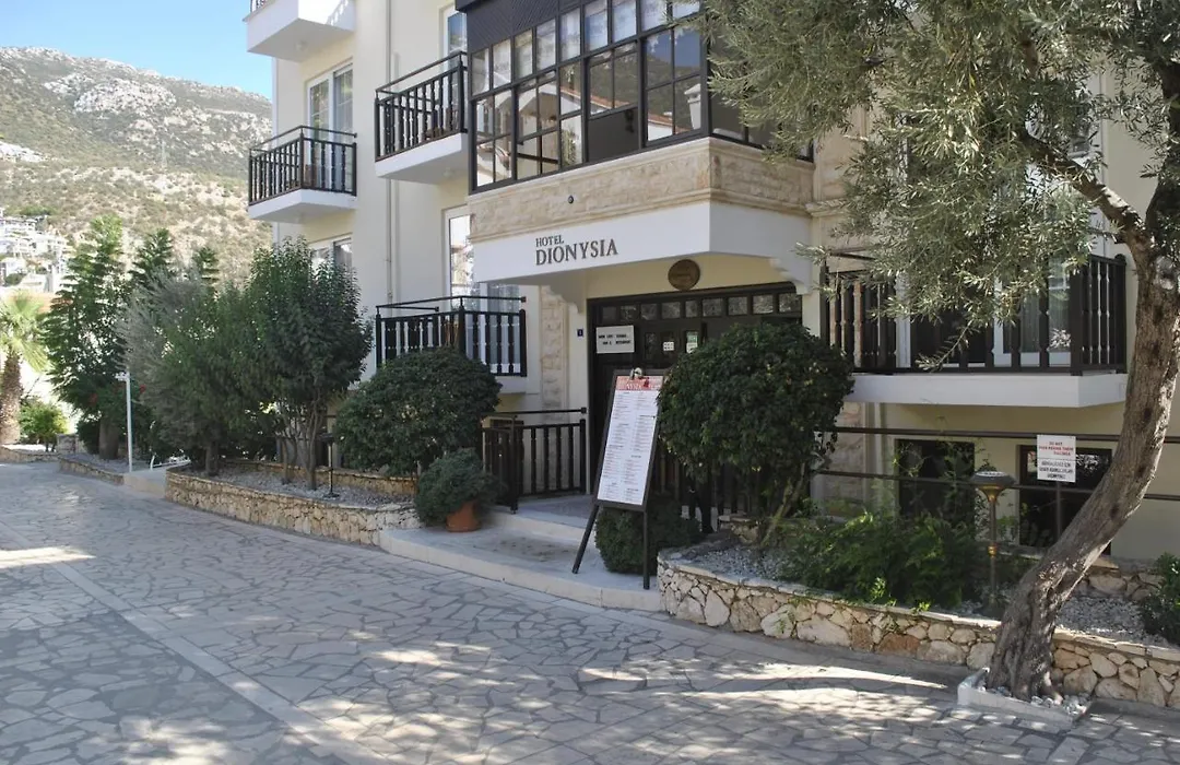 Hotel Dionysia-1