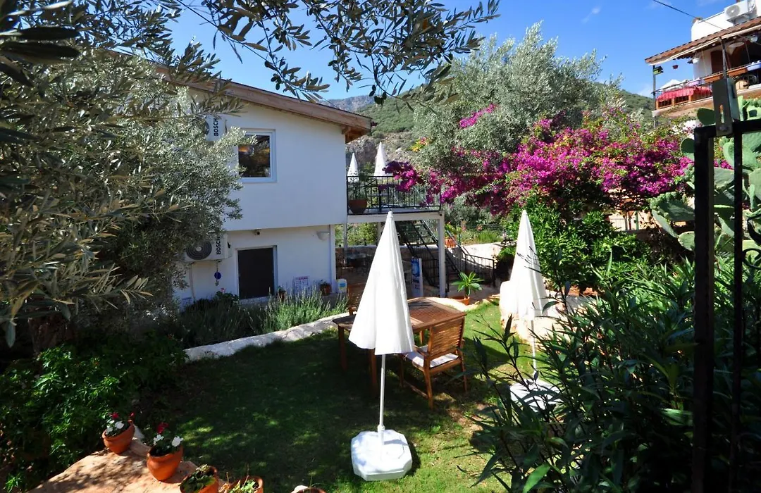 Kaktus Beach Apart-1