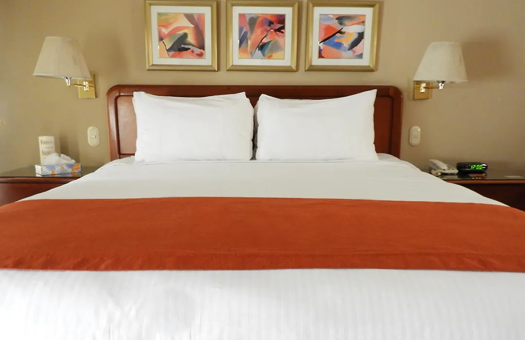 Hotel San Carlos-1