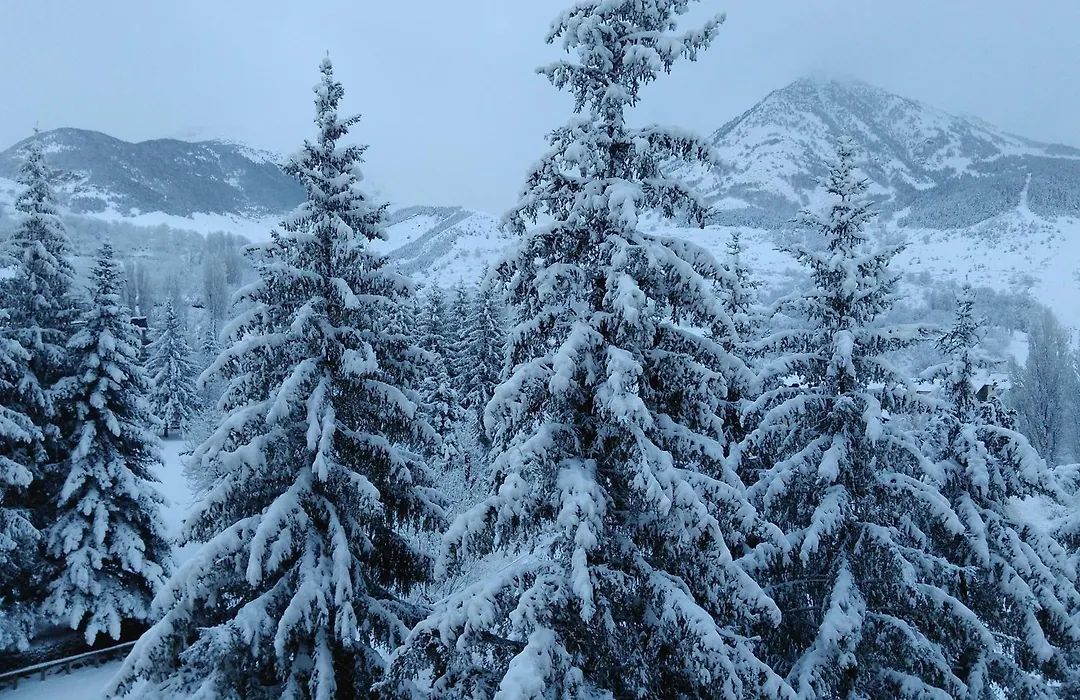 Hotel Snoe Edelweiss-1