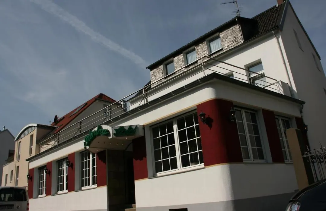 Hotel Diening-1
