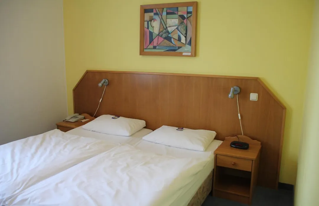 Hotel Mecklenburger Mühle Garni-1