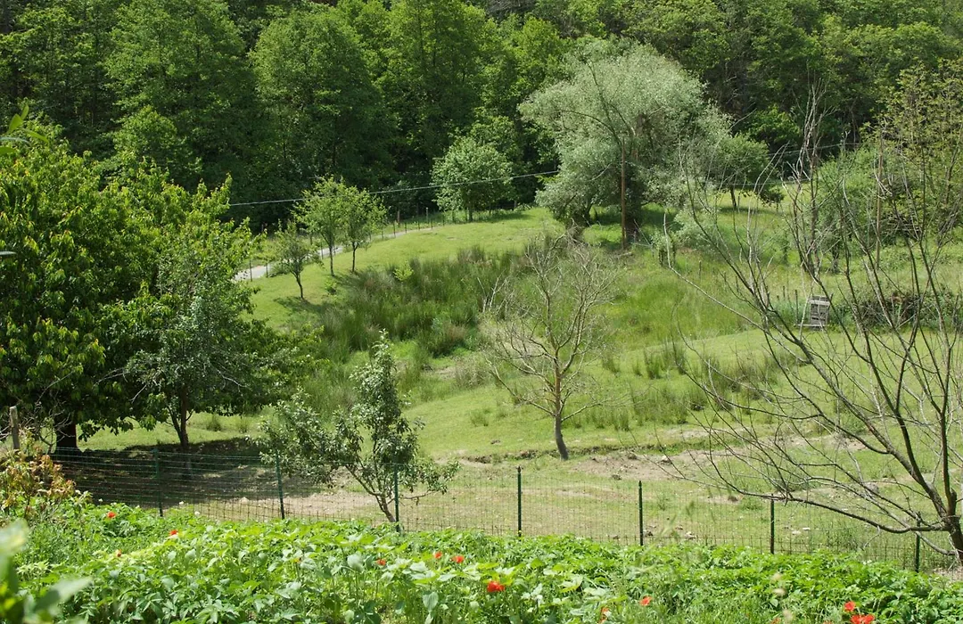 Affittacamere Graziella-1