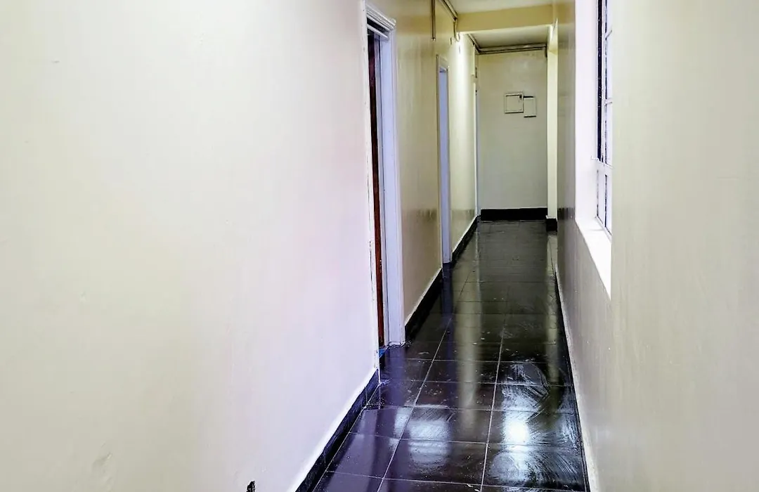 City Breeze Cbd-1