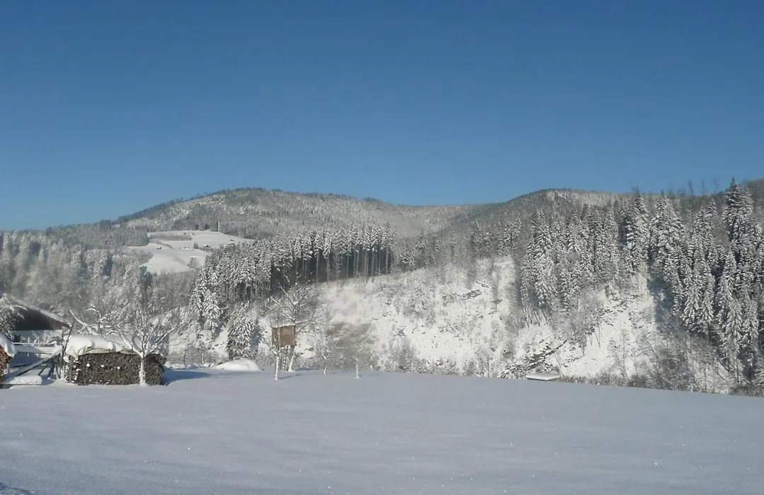 Sackmanns Wanderhotel Löwen-1