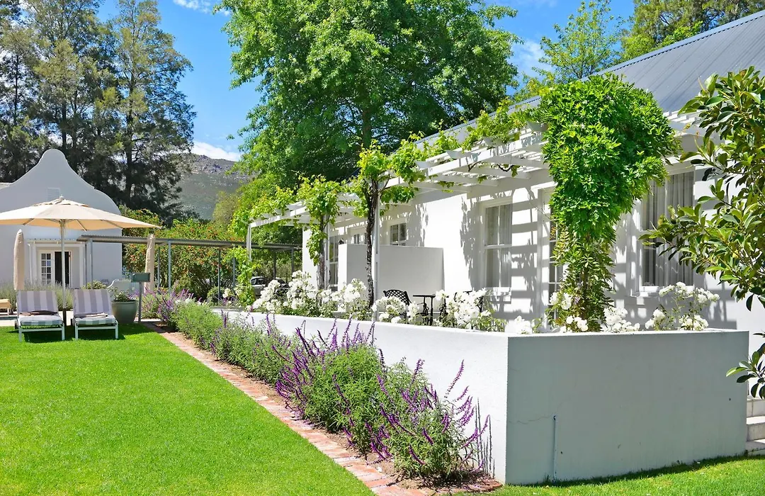 Lavender Farm Boutique Guest House-1