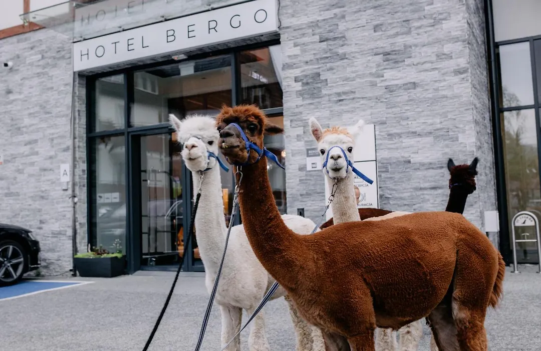 Hotel Bergo Resort & Spa-1