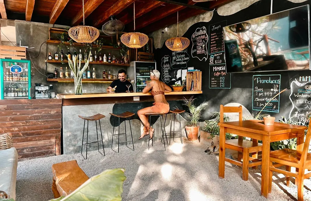Mimosa Tulum-1