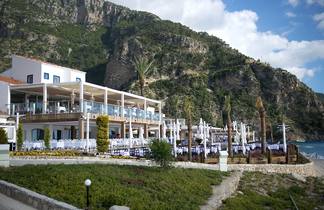 Liberty Lykia-1