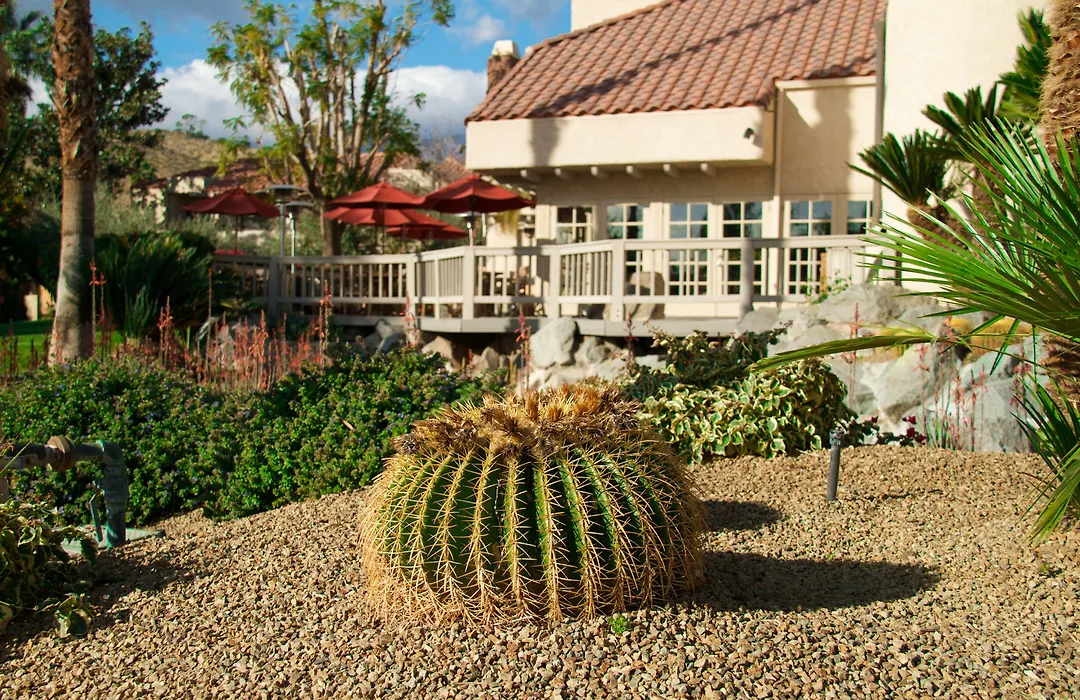 The Oasis Resort-1