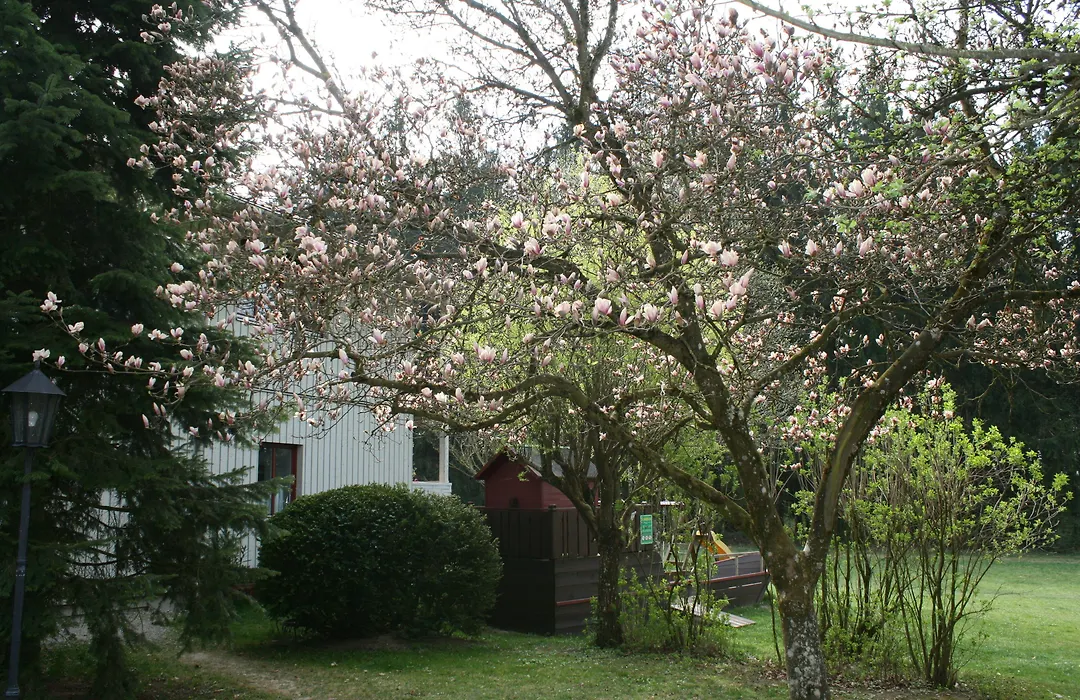 Waldpension Jägerstüberl-1