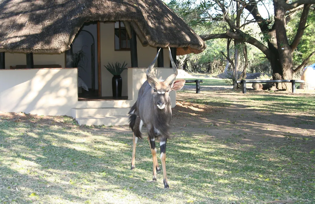 Bonamanzi Game Reserve-1