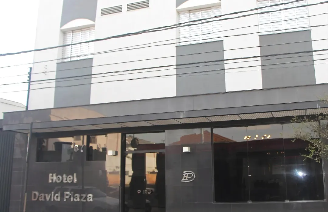 David Plaza Hotel-1