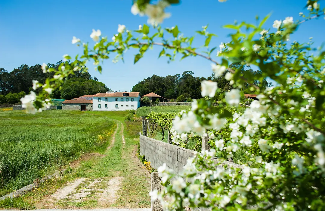 Casa Mindela Farmhouse-1