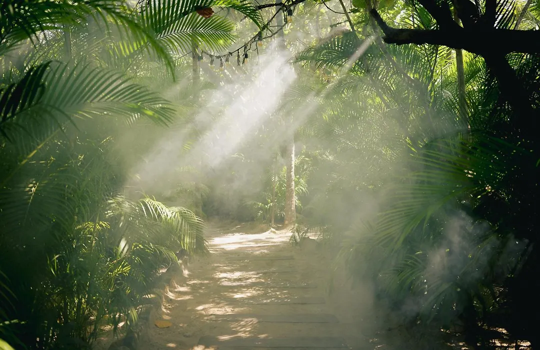 Nomade Tulum-1