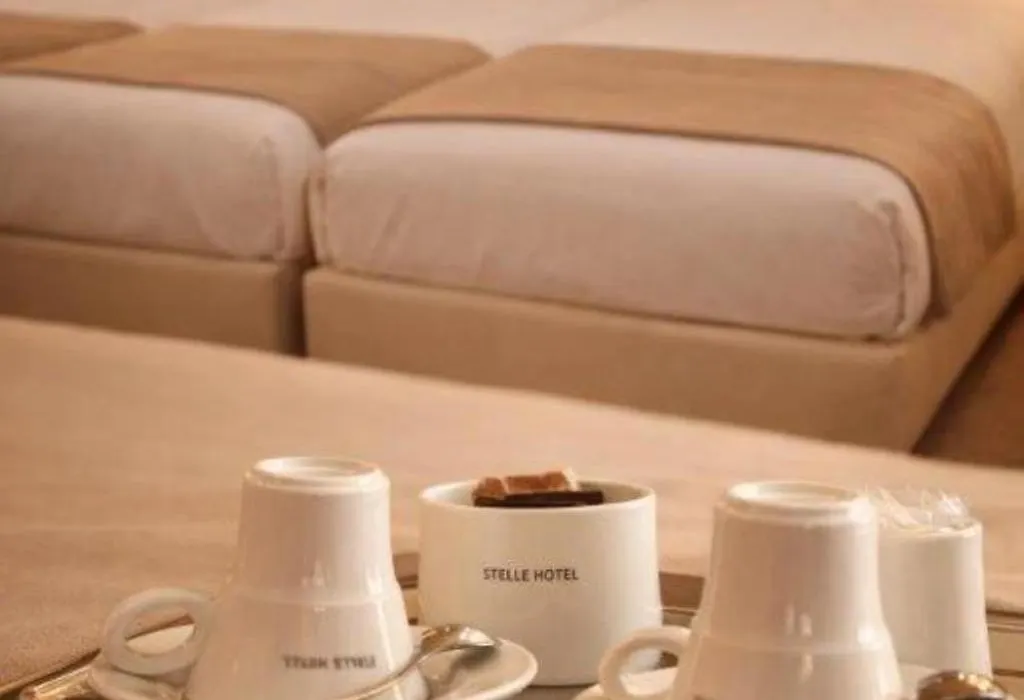 Stelle Hotel The Businest-1