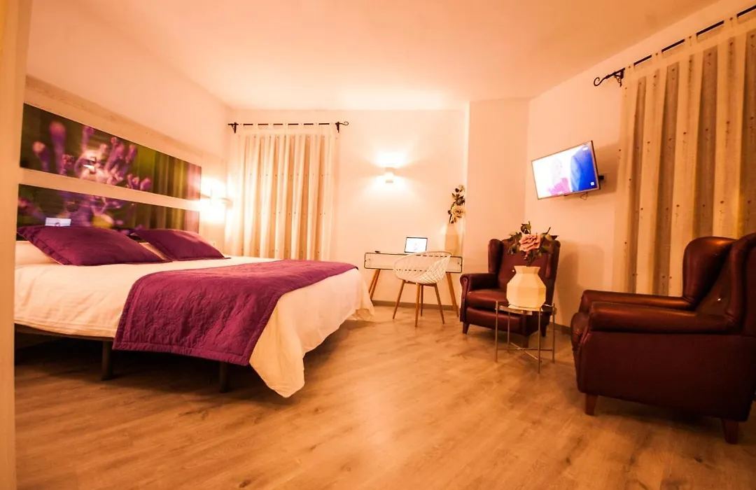 Hotel Hc Zoom-1