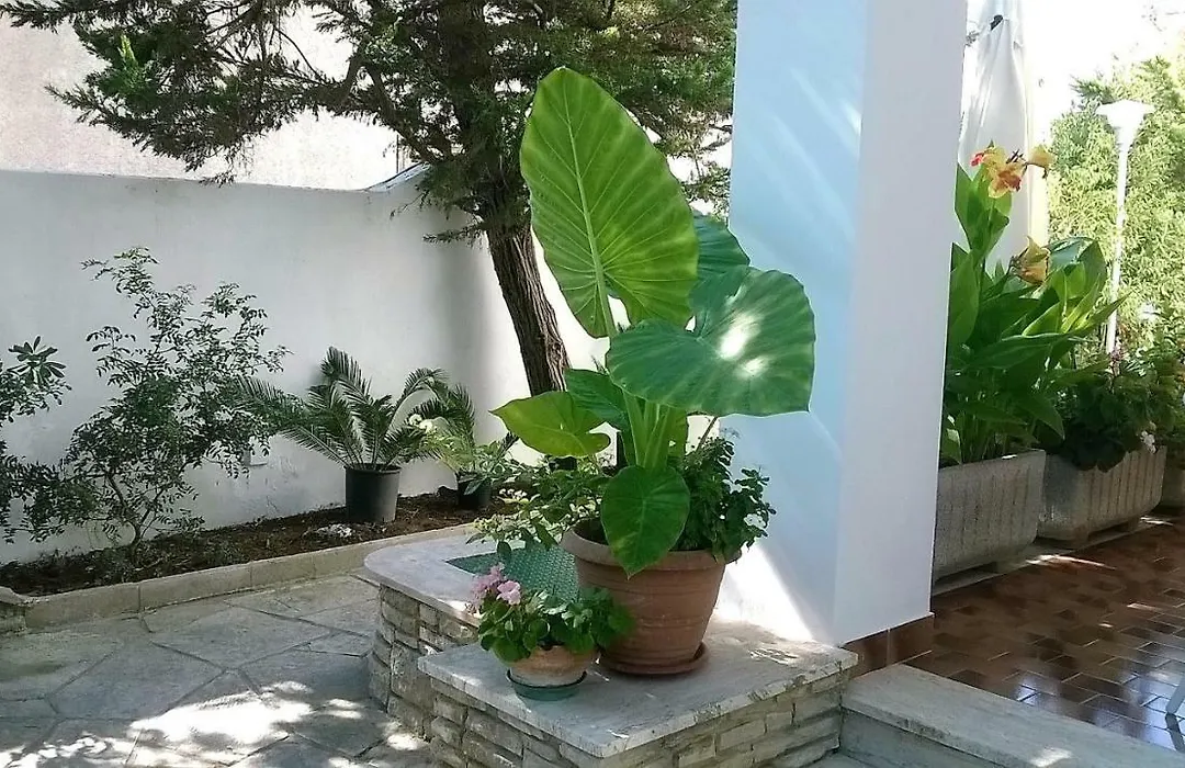 B&B Il Villino Torre Dell'Orso-1