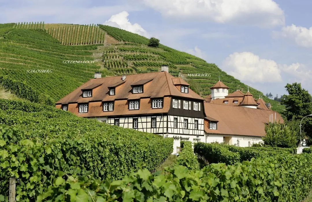 Hotel Residenz im Schloss Neuweier-1