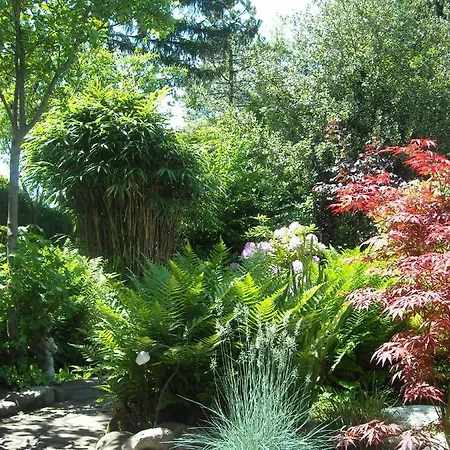 B&B Het Tuinhuisje-2