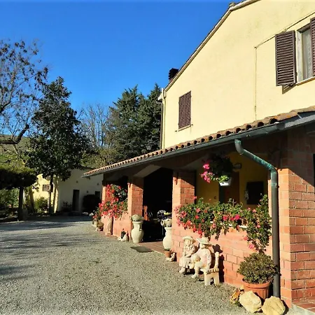 Francigena-3