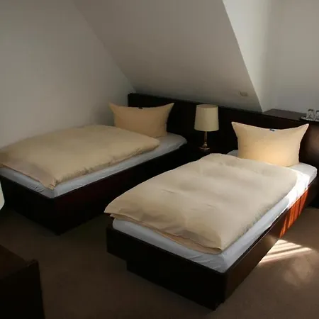 Hotel Diening-3