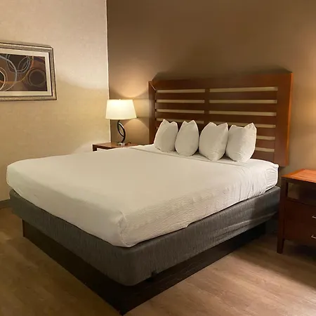 Wyndham Garden Grand Rapids Airport-3