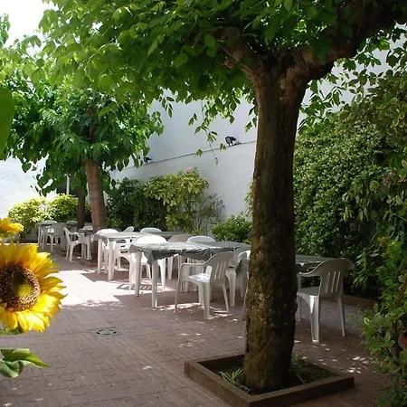 Hotel Armonia-3