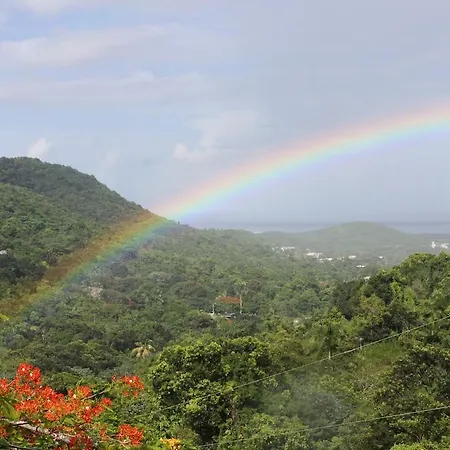 Ceiba Country Inn-2