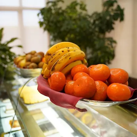 Hotel Godisa-2