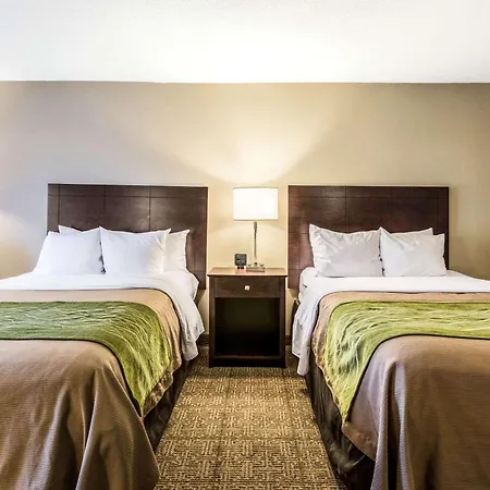 Comfort Inn Lansing West-2