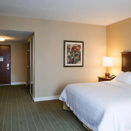 Hampton Inn & Suites Toledo-Perrysburg-3