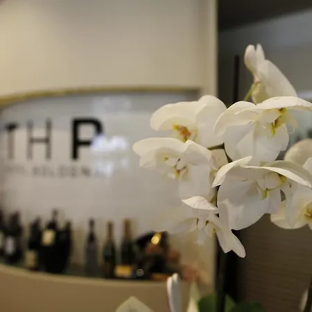 Thp Bologna-2