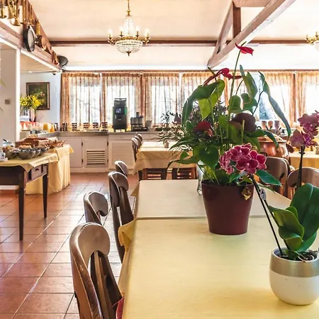 Hotel Strasbourg - Montagne Verte & Restaurant Louisiane-3