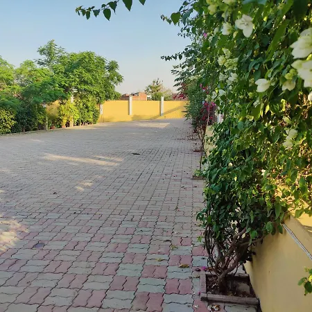 Brick Field-3