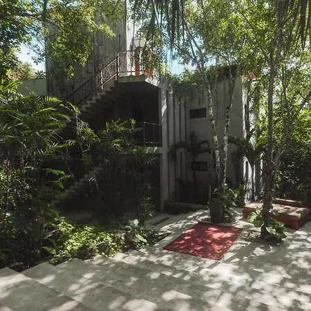 Casa Vive Bacalar-2