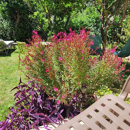 Il Giardino Di Tatiana Rooms-2