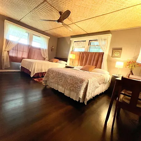 Shaka Shak Guest House-2