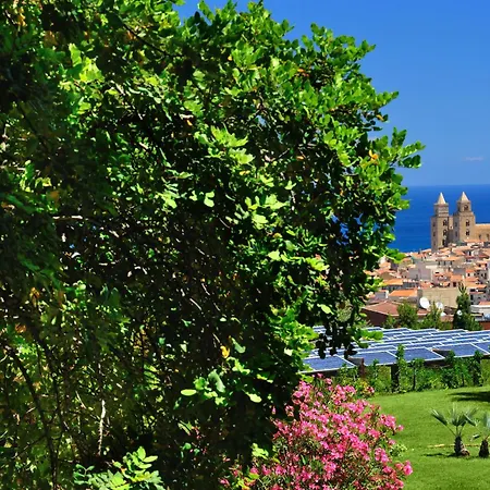 Alberi Del Paradiso-2
