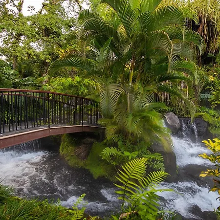 Tabacon Thermal Resort & Spa-3
