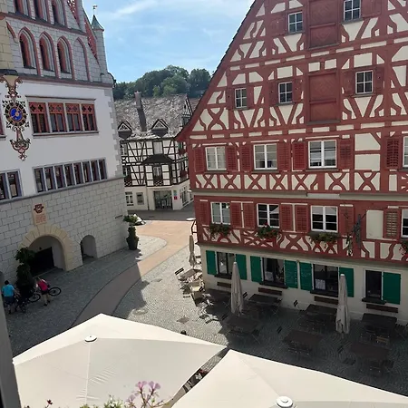 Hotel Restaurant Grüner Baum und Altes Tor-3