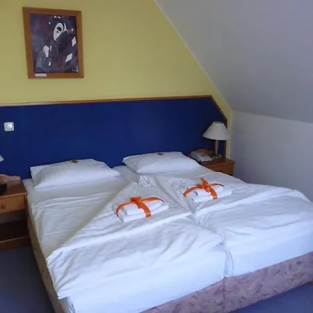 Hotel Mecklenburger Mühle Garni-3